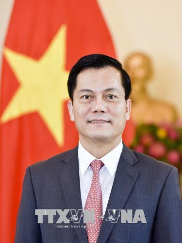 越南驻美国大使何金玉 图自越通社
