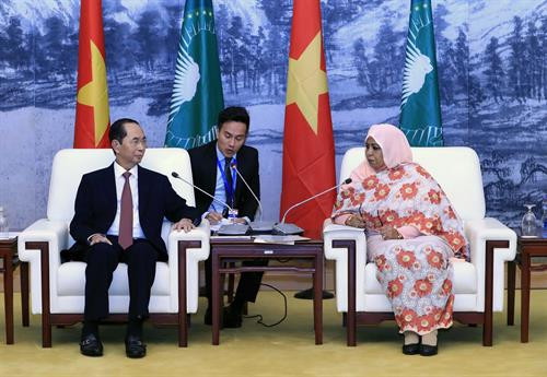 越南国家主席陈大光会见非洲联盟委员会代理主席。图自越通社