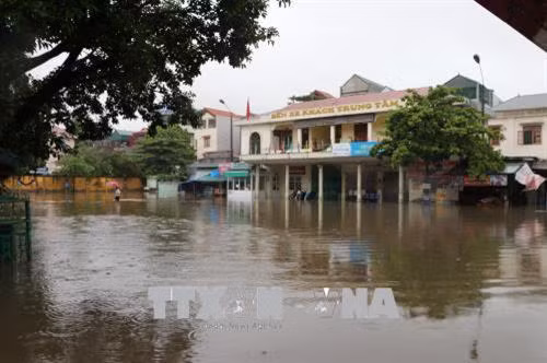 和平省因暴雨严重受损。(图片来源:越通社) 和平省因暴雨严重受损。(图片来源:越通社)