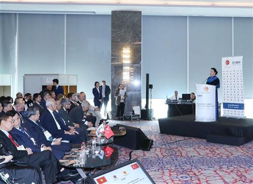 越南国会主席阮氏金银在论坛上发表讲话。图自越通社