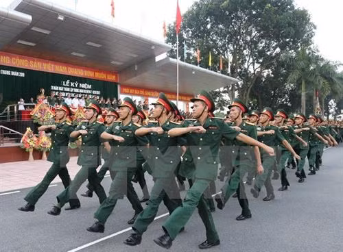 附图。（图片来源：越通社）