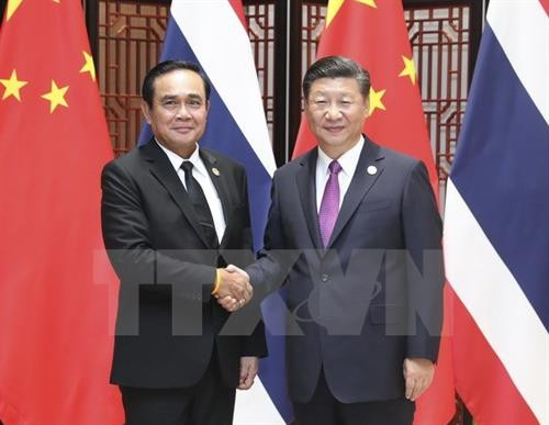 泰国总理巴育与中国国家主席习近平握手。（图片来源：越通社）