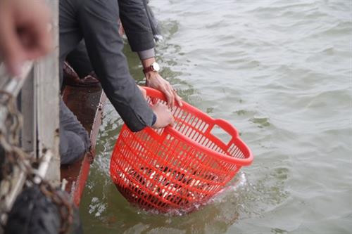 河内市举行规模巨大的放生仪式 鱼量超过五吨。（图片来源：新河内报）