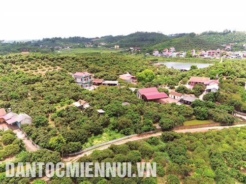 北江省以农业用地达30.2万公顷，占自然面积的77.6%成为发展农业潜力巨大的省份。
