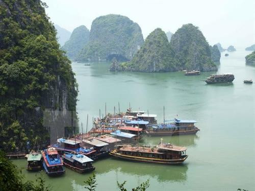 越南下龙湾美景。图自越通社
