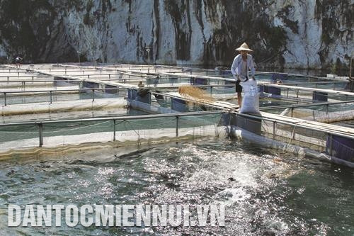 冷水鱼养殖业为莱州省各族同胞开启致富之路。