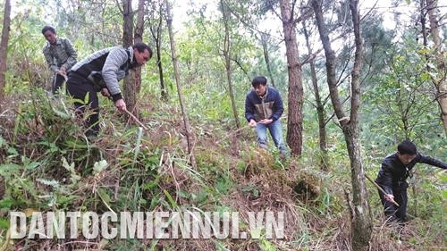 村寨捍卫祖国和森林发展模式已有助于发挥当地森林巡查防控和护林工作中的主动性。