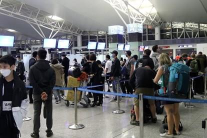 附图。图自互联网