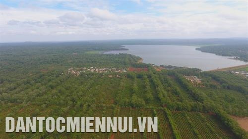 目前，得乐省共有11家企业获邦美蜀咖啡地理标志使用权，占地面积1.53万公顷，年均产品产量4.75万吨。记者 范强 摄