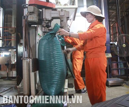 申请邦美蜀咖啡地理标志保护有助于开拓高档产品市场，提高该产品的出口价值。记者 范强 摄