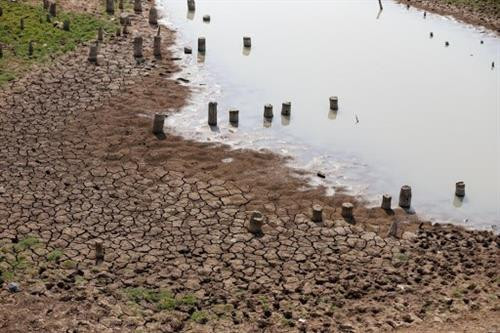 附图。图自互联网