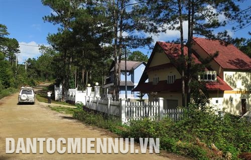 松树林间的别墅最受游客的青睐。记者 光泰 摄