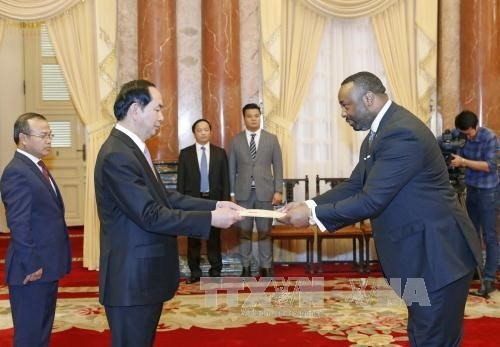 赤道几内亚共和国驻越大使贺曼·埃夸·希玛向陈大光主席递交国书。(图片来源:越通社) 赤道几内亚共和国驻越大使贺曼·埃夸·希玛向陈大光主席递交国书。(图片来源:越通社)