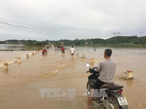 清化省在多地被洪水淹没。（图片来源：越通社）