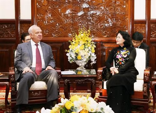 越南国家副主席邓氏玉盛（右）与俄罗斯驻越南大使康斯坦丁·弗努科夫。（图片来源：越通社）