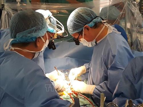 承天顺化省中央医院成功开展第三例心脏移植手术。图自越通社