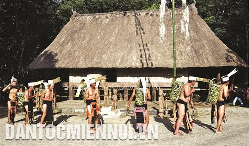 叶坚族的龙屋小矮。