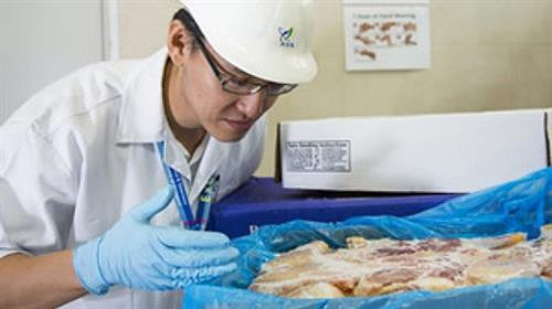 附图。(图片来源:越通社) 附图。(图片来源:越通社)