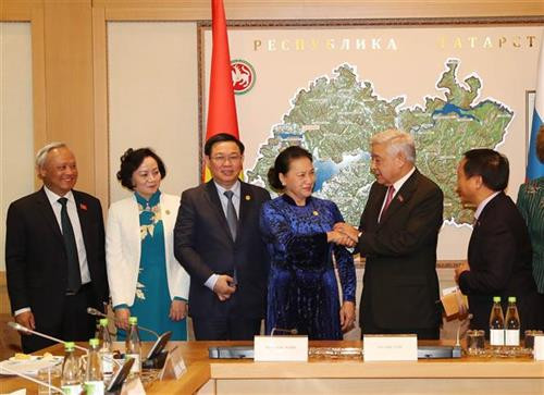 越南国会主席阮氏金银会见俄罗斯鞑靼斯坦共和国国家理事会主席F.K马克汉姆辛。图自越通社
