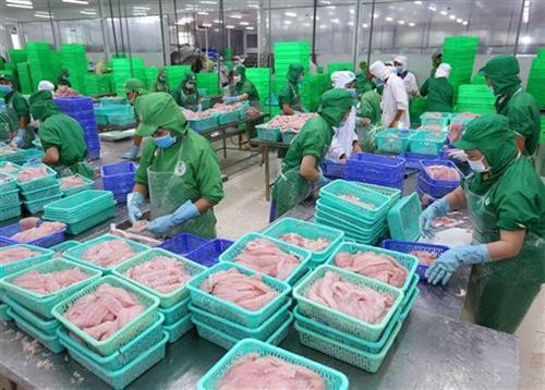 资料图 图自互联网