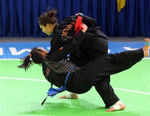 越南队在2017年东南亚班卡苏拉锦标赛上居第二位（图片来源：sggp.org.vn）