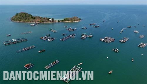 河仙市苏州坊的河仙码头船只来往不断。记者 安孝 摄 河仙市高棉族同胞土特产——糖棕。记者 安孝 摄 河仙市先海岛乡海域上的养鱼业。这里既是当地居民的省级，又是国内外游客具有吸引力的旅游目的地。记者 安孝 摄