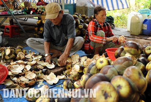 河仙市苏州坊的河仙码头船只来往不断。记者 安孝 摄 河仙市高棉族同胞土特产——糖棕。记者 安孝 摄 河仙市先海岛乡海域上的养鱼业。这里既是当地居民的省级，又是国内外游客具有吸引力的旅游目的地。记者 安孝 摄