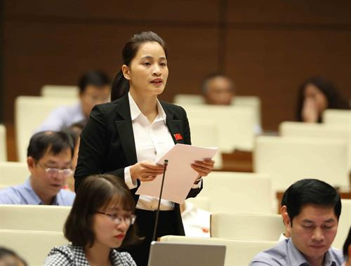 宣光省国会代表在会上发言。（图片来源：越通社）