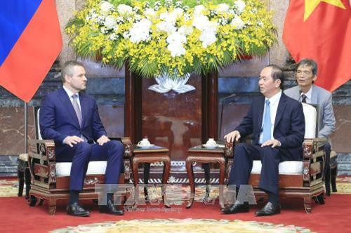 越南国家主席陈大光会见斯洛伐克副总理佩特尔·佩列格里尼（图片来源:越通社）