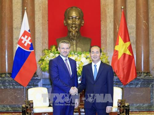 越南国家主席陈大光与斯洛伐克副总理佩特尔·佩列格里尼（图片来源:越通社）