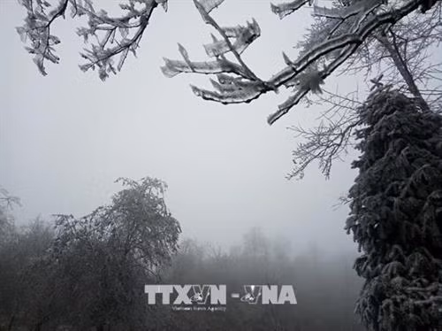 老节省沙巴县遭严寒天气 局部地区下雪。(图片来源:越通社) 老节省沙巴县遭严寒天气 局部地区下雪。(图片来源:越通社)