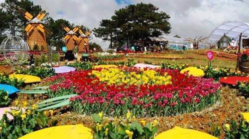 资料图：2019年大叻花卉节将于12月20日至24日举行。图自因特网