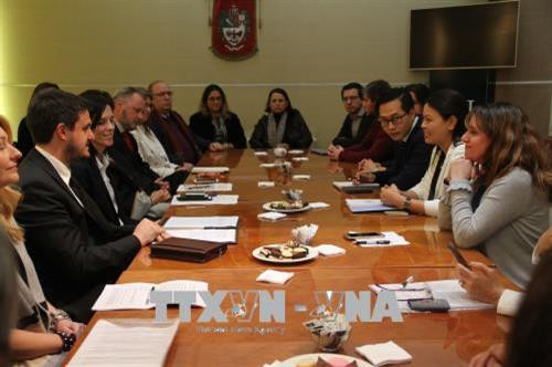 越南妇女联合会代表团与萨尔瓦多大学领导举行工作交谈。（图片来源：越通社）