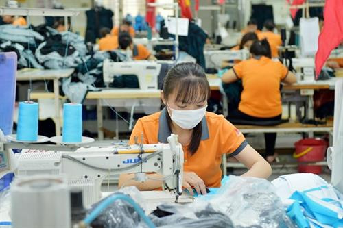 附图。图自越通社
