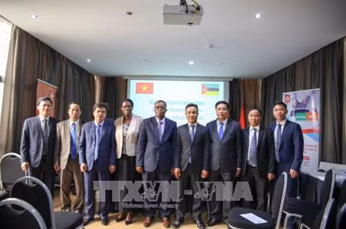 与会代表合影。（图片来源：越通社）