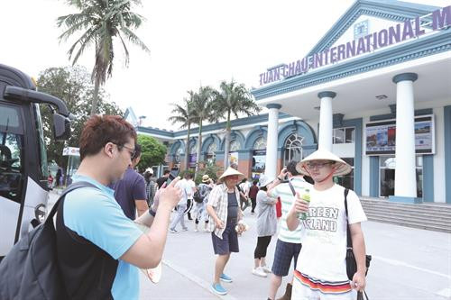 据越南计划投资部统计总局消息，2017年前几月，下龙湾是中国游客选择的两大目的地之一。 下龙市巡洲国际旅游区海豚、海豹、海狮表演。 美丽的下龙湾是国内外游客颇具吸引力的旅游目的地。 下龙湾之滨四星级、五星级豪华酒店如雨后春笋。 游客乘水上飞机游览下龙湾美丽风景。 下龙湾龙眼岛——最吸引年轻人的有趣目的地。 四面靠海的下龙湾珍珠度假村（Vinpearl Ha Long Bay Resort）——越南北部最大五星级酒店。 2017年第一季度，下龙湾接待游客近94.4万人次，其中国际游客近80.5万人次。 巡洲岛休闲度假区。 现代浪漫的白雀（Bai Chay）桥为下龙湾美景增添色彩。 下龙湾给外国游客留下美好印象。 被誉为下龙湾上歌剧院的“惊讶洞”（Sung Sot）