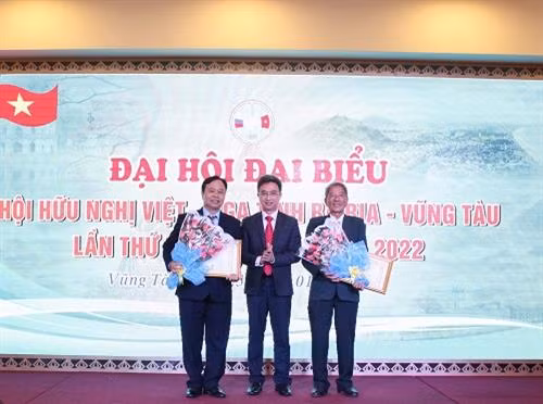 巴地头顿省人民委员会副主席邓明通向巴地头顿省越俄友好协会授予奖状。（图片来源：baria-vungtau.gov.vn）