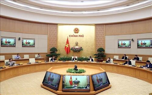 越南政府总理阮春福已主持召开政府常务委员会会议，就平抑猪肉价格的措施进行讨论。图自越通社