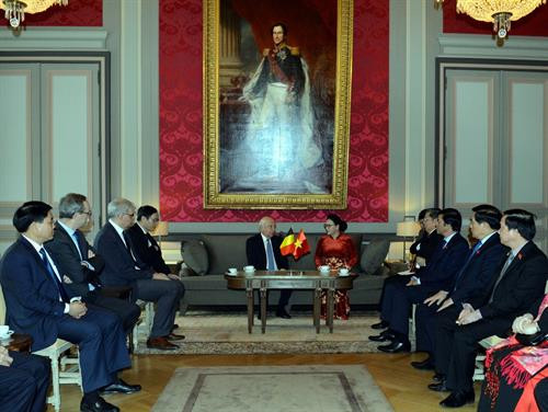 越南国会主席阮氏金银会见比利时联邦参议长布罗奇。图自越通社