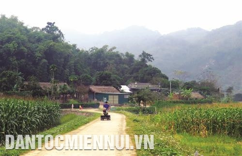 因靠造林能脱贫，安山县境内少数民族同胞已积极实现造林绿化工作。