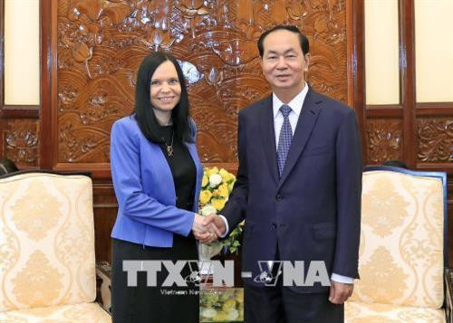 越南国家主席陈大光会见波兰驻越大使Barbara Szymanowska。越通社记者 彦创 摄