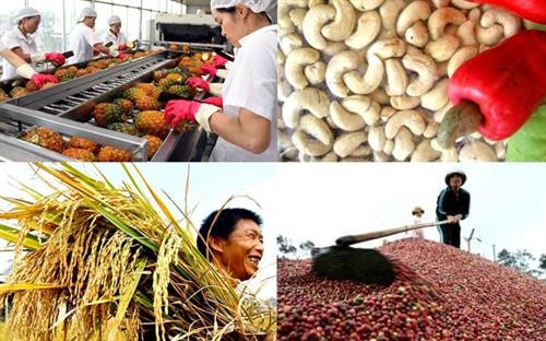 附图。图自因特网