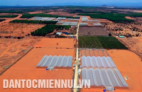 东亚高技术农业股份公司在北平县和胜乡“小沙漠”地区上开展高技术农业模式的火龙果和哈密瓜种植场。记者 安孝 摄