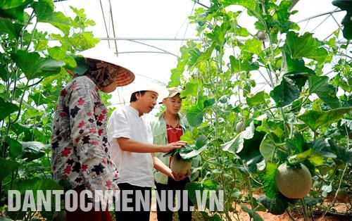 许多企业已大胆投资展开沙漠化土地上高科技农业模式。记者 安孝 摄