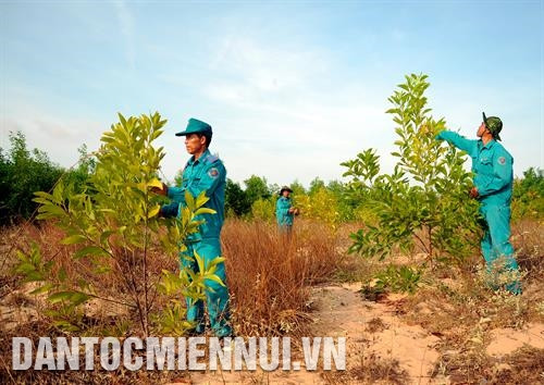 黎红峰森林管理委员会干部检查在北平县和胜乡地区种植的林木生存率。记者 安孝 摄 向平顺省沿海县居民开展宣传工作，提高他们保护林木的意识。记者 安孝 摄