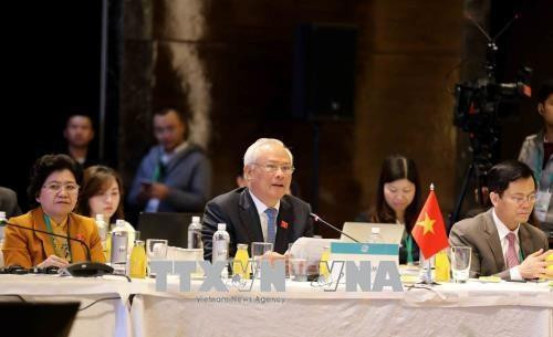 越南国会副主席汪周刘在会议上发言。（图片来源：越通社）
