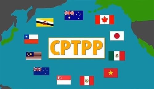附图。图自因特网