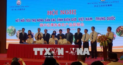 两国企业已签署许多合作备忘录 图自越通社