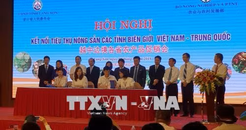 两国企业已签署许多合作备忘录 图自越通社 两国企业已签署许多合作备忘录 图自越通社