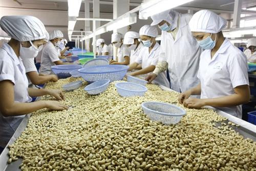 今年前6月，农、林、水产品出口额达197.5亿美元，同比增长2.1%。图自越通社
